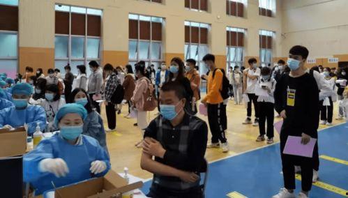 项城今日最新消息爆料,揭秘今日热点事件背后的真相  第2张