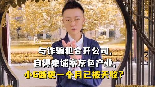 柬埔寨爆料博主诈骗视频,揭秘网络诈骗背后的真相  第2张