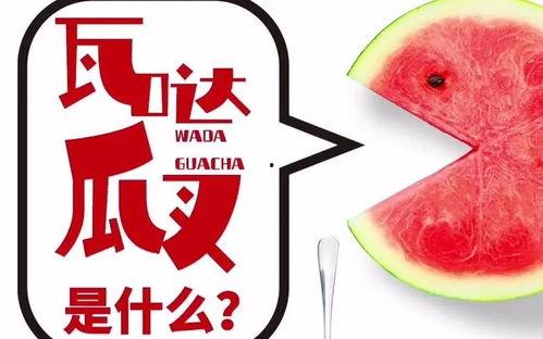 抖音水冰月瓜免费吃,水冰月瓜免费吃，快来参与抢鲜尝鲜！  第3张